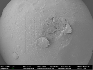 Inter-sample variability image 4